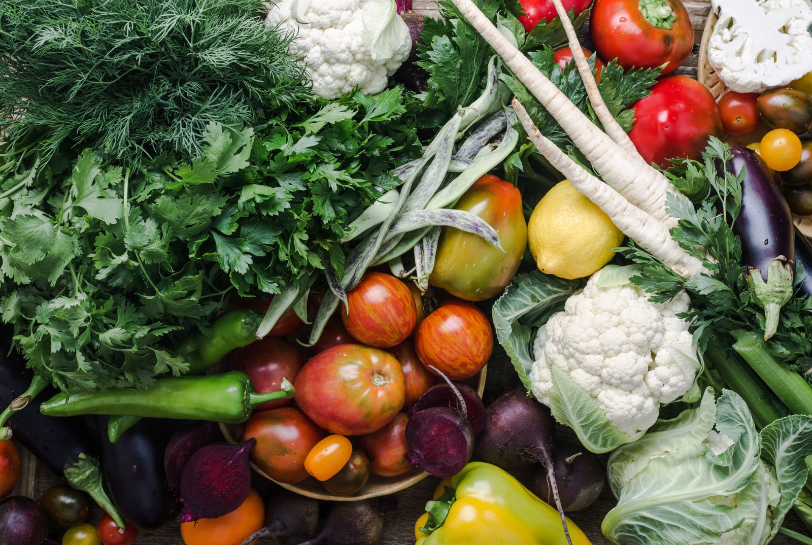 Fresh-Food
